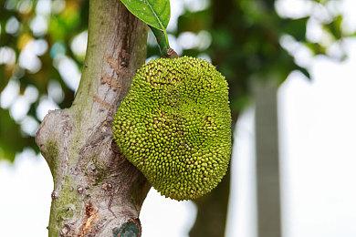 《最终幻想7：永恒危机》首段PC版实机视频展示